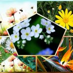 Dịch vụ thành lập công ty nhanh tại Hòa Bình 6 Muốn thành lập công ty nhanh tại Hòa Bình