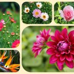 Dịch vụ thành lập công ty nhanh tại huyện Bình Chánh 6 Muốn thành lập công ty nhanh tại huyện Bình Chánh