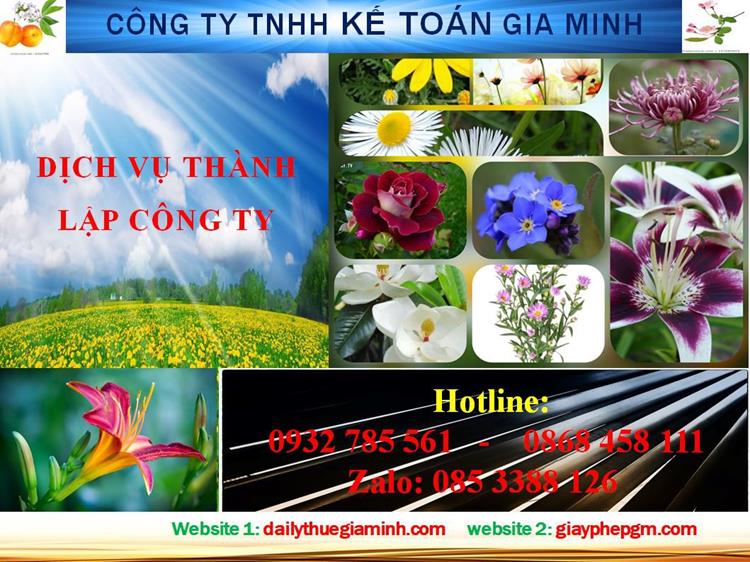 Dịch vụ thành lập công ty nhanh tại Lào Cai 4 Thủ tục thành lập công ty nhanh tại Lào Cai