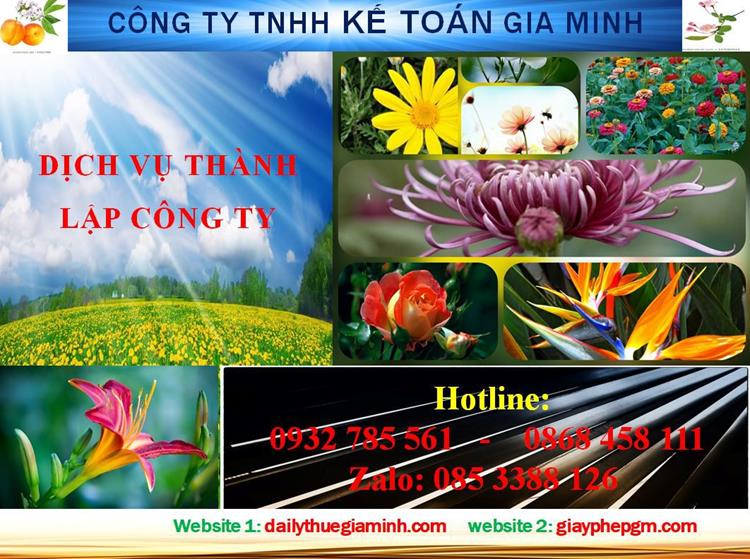 Dịch vụ thành lập công ty nhanh tại Phú Thọ 4 Thủ tục thành lập công ty nhanh tại Phú Thọ