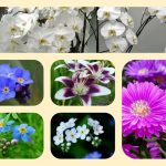 Dịch vụ thành lập công ty nhanh tại Quận 1 6 Muốn thành lập công ty nhanh tại Quận 1