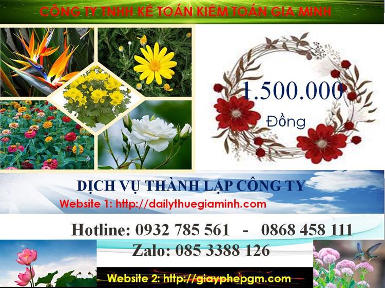 Dịch vụ thành lập công ty nhanh tại Quận 9 5 Chi phí thành lập công ty nhanh tại Quận 9