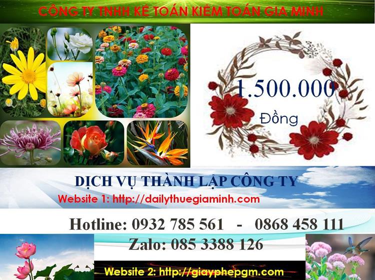 Dịch vụ thành lập công ty nhanh tại Tuyên Quang 5 Chi phí thành lập công ty nhanh tại Tuyên Quang