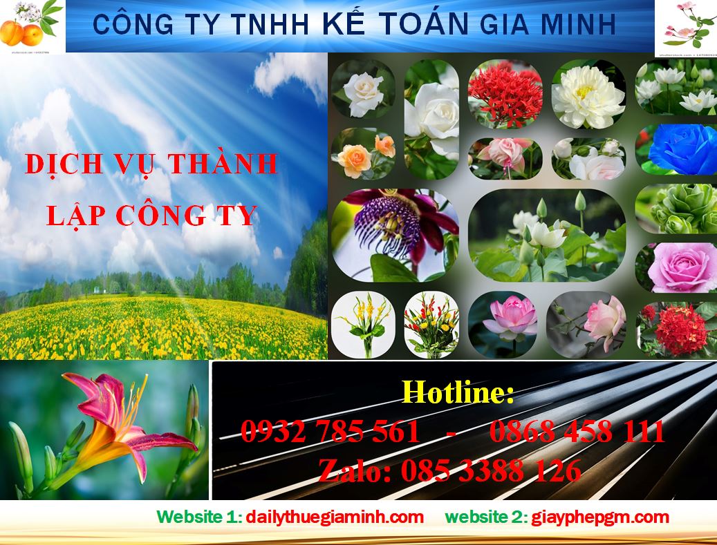 Thành lập công ty tại quận Phú Nhuận – Hướng dẫn chi tiết và chuyên sâu 4 Dịch vụ thành lập doanh nghiệp tại quận Phú Nhuận