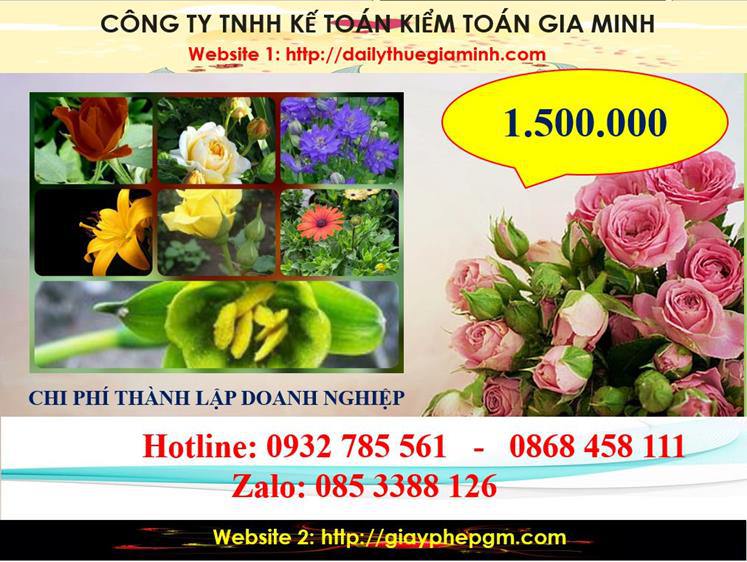 Chi phí thành lập công ty trách nhiệm hữu hạn tại Bắc Giang