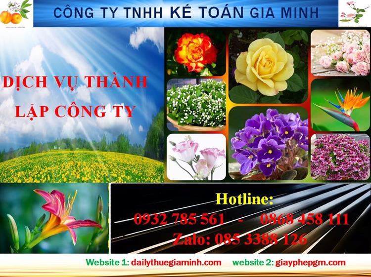 Thủ tục thành lập công ty trách nhiệm hữu hạn tại Bắc Giang