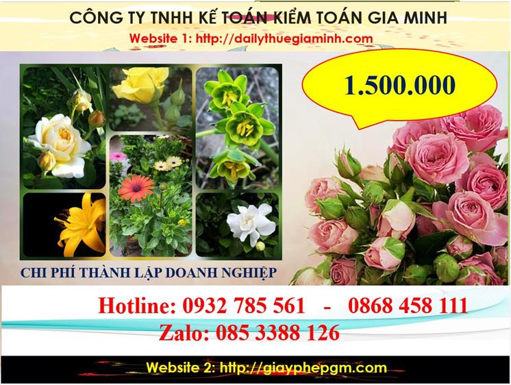 Dịch vụ thành lập công ty trách nhiệm hữu hạn tại Bến Tre 10 Chi phí thành lập công ty trách nhiệm hữu hạn tại Bến Tre