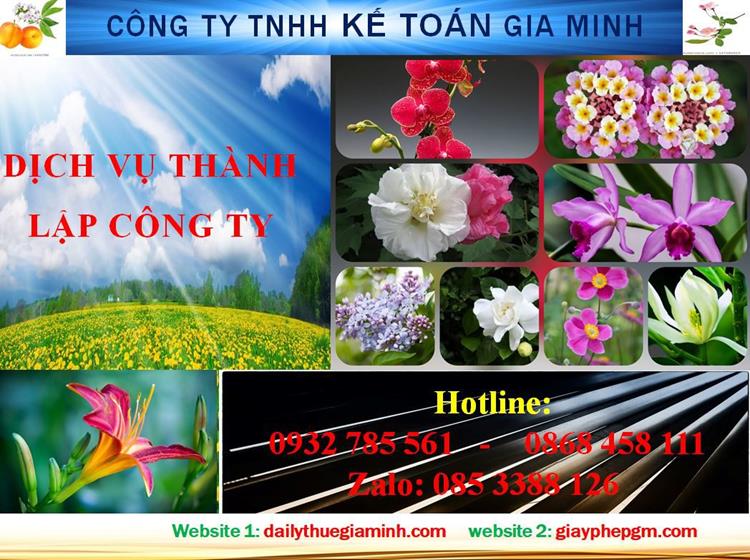 Dịch vụ thành lập công ty trách nhiệm hữu hạn tại Bến Tre 8 Thủ tục thành lập công ty trách nhiệm hữu hạn tại Bến Tre