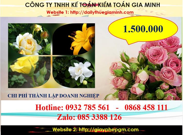 Dịch vụ thành lập công ty trách nhiệm hữu hạn tại Cần Thơ 17 Chi phí thành lập công ty trách nhiệm hữu hạn tại Cần Thơ