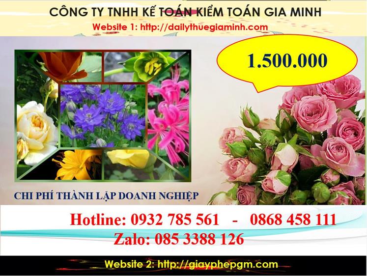 Dịch vụ thành lập công ty trách nhiệm hữu hạn tại Điện Biên 5 Chi phí thành lập công ty trách nhiệm hữu hạn tại Điện Biên