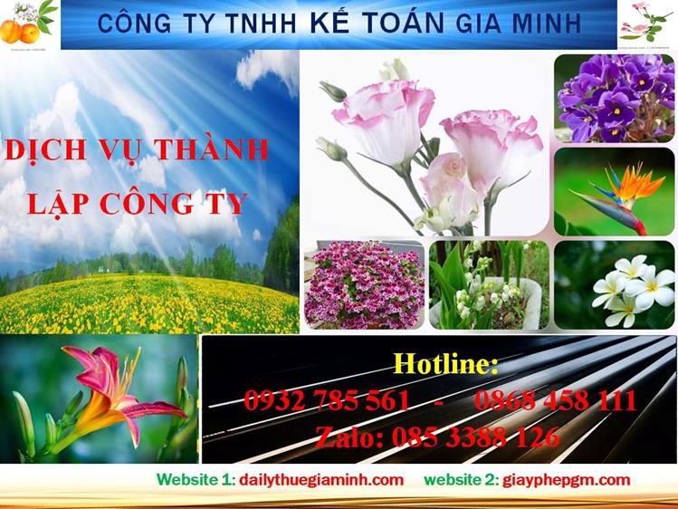 Dịch vụ thành lập công ty trách nhiệm hữu hạn tại Điện Biên 4 Thủ tục thành lập công ty trách nhiệm hữu hạn tại Điện Biên
