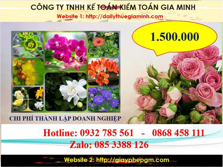 Dịch vụ thành lập công ty trách nhiệm hữu hạn tại Hà Nam 5 Chi phí thành lập công ty trách nhiệm hữu hạn tại Hà Nam