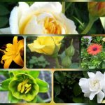 Dịch vụ thành lập công ty trách nhiệm hữu hạn tại Hà Nam 6 Thành lập công ty trách nhiệm hữu hạn tại Hà Nam