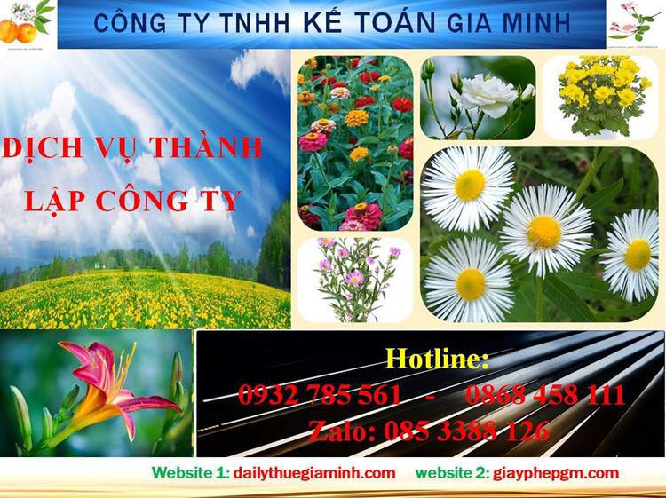 Dịch vụ thành lập công ty trách nhiệm hữu hạn tại Hà Nam 4 Thủ tục thành lập công ty trách nhiệm hữu hạn tại Hà Nam