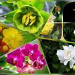 Dịch vụ thành lập công ty trách nhiệm hữu hạn tại Hà Nội 6 Thành lập công ty trách nhiệm hữu hạn tại Hà Nội