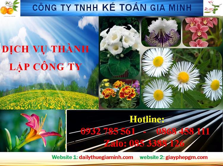 Dịch vụ thành lập công ty trách nhiệm hữu hạn tại Hà Nội 4 Thủ tục thành lập công ty trách nhiệm hữu hạn tại Hà Nội