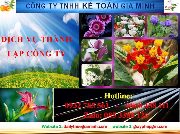 Dịch vụ thành lập công ty trách nhiệm hữu hạn tại Hải Dương 4 Thủ tục thành lập công ty trách nhiệm hữu hạn tại Hải Dương