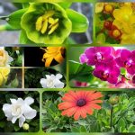 Dịch vụ thành lập công ty trách nhiệm hữu hạn tại Hải Phòng 6 Thành lập công ty trách nhiệm hữu hạn tại Hải Phòng