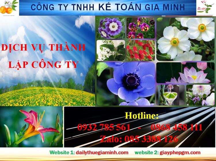 Dịch vụ thành lập công ty trách nhiệm hữu hạn tại Hải Phòng 4 Thủ tục thành lập công ty trách nhiệm hữu hạn tại Hải Phòng