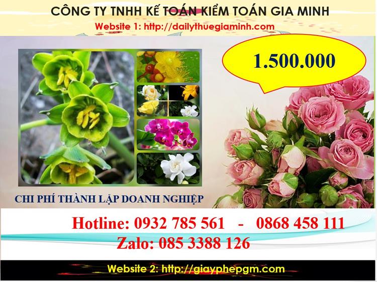 Chi phí thành lập công ty trách nhiệm hữu hạn tại huyện Bắc Tân Uyên