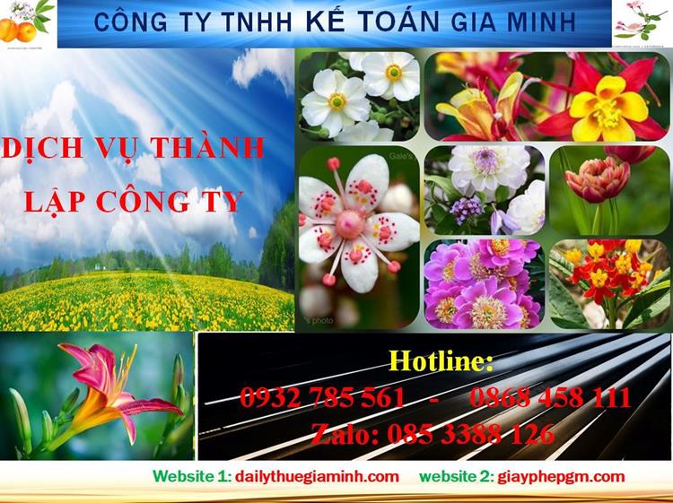 Thủ tục thành lập công ty trách nhiệm hữu hạn tại huyện Bắc Tân Uyên