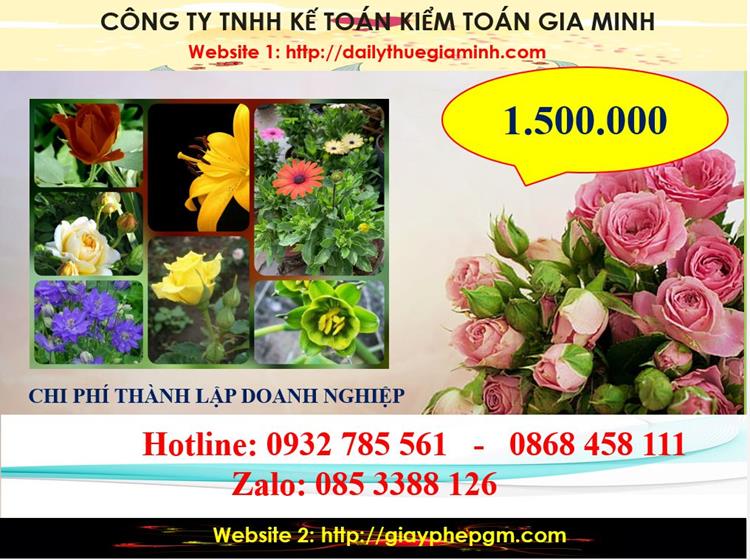 Chi phí thành lập công ty trách nhiệm hữu hạn tại huyện Bàu Bàng