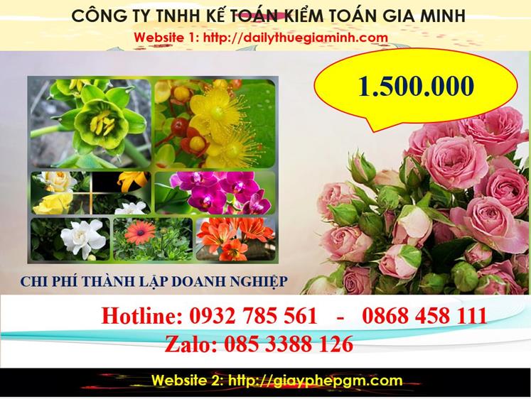 Chi phí thành lập công ty trách nhiệm hữu hạn tại huyện Phú Giáo