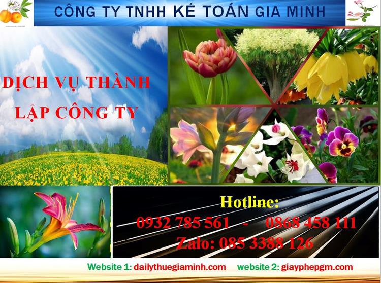 Dịch vụ thành lập công ty trách nhiệm hữu hạn tại Lâm Đồng 4 Thủ tục thành lập công ty trách nhiệm hữu hạn tại Lâm Đồng