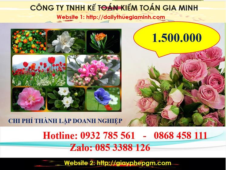 Dịch vụ thành lập công ty trách nhiệm hữu hạn tại Lạng Sơn 5 Chi phí thành lập công ty trách nhiệm hữu hạn tại Lạng Sơn