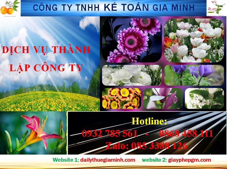 Dịch vụ thành lập công ty trách nhiệm hữu hạn tại Lạng Sơn 4 Thủ tục thành lập công ty trách nhiệm hữu hạn tại Lạng Sơn