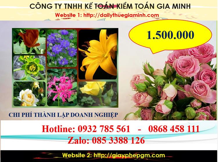 Dịch vụ thành lập công ty trách nhiệm hữu hạn tại Lào Cai 5 Chi phí thành lập công ty trách nhiệm hữu hạn tại Lào Cai