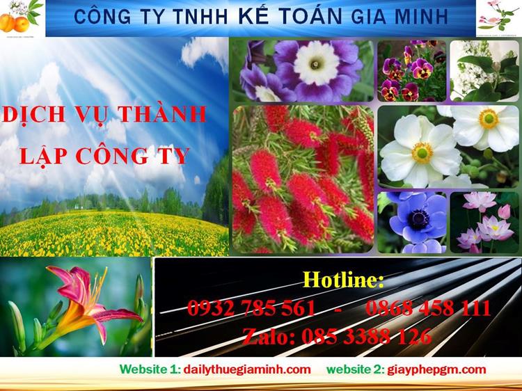 Dịch vụ thành lập công ty trách nhiệm hữu hạn tại Lào Cai 4 Thủ tục thành lập công ty trách nhiệm hữu hạn tại Lào Cai