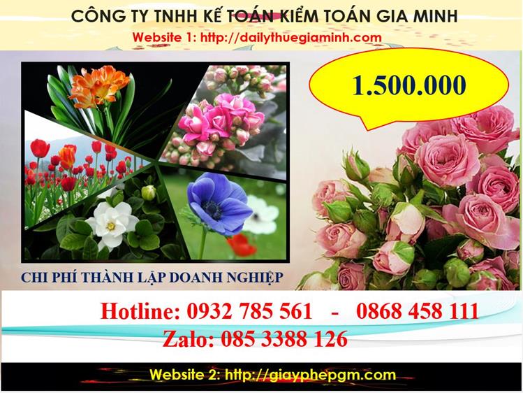 Dịch vụ thành lập công ty trách nhiệm hữu hạn tại Nam Định 5 Chi phí thành lập công ty trách nhiệm hữu hạn tại Nam Định
