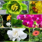 Dịch vụ thành lập công ty trách nhiệm hữu hạn tại Nam Định 6 Thành lập công ty trách nhiệm hữu hạn tại Nam Định
