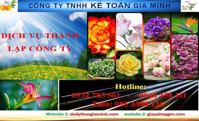 Dịch vụ thành lập công ty trách nhiệm hữu hạn tại Nam Định 4 Thủ tục thành lập công ty trách nhiệm hữu hạn tại Nam Định