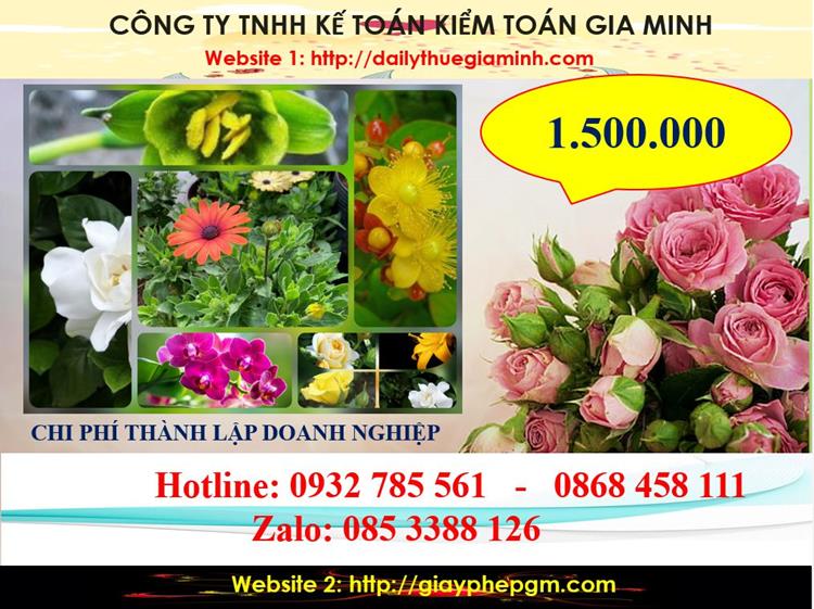 Dịch vụ thành lập công ty trách nhiệm hữu hạn tại Quận 1 5 Chi phí thành lập công ty trách nhiệm hữu hạn tại Quận 1