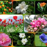 Dịch vụ thành lập công ty trách nhiệm hữu hạn tại Quận 1 6 Thành lập công ty trách nhiệm hữu hạn tại Quận 1