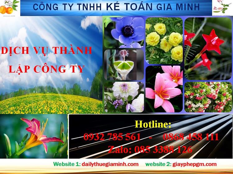 Dịch vụ thành lập công ty trách nhiệm hữu hạn tại Quận 1 4 Thủ tục thành lập công ty trách nhiệm hữu hạn tại Quận 1