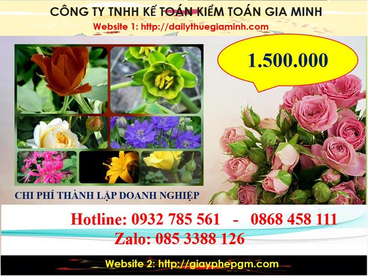 Dịch vụ thành lập công ty trách nhiệm hữu hạn tại Quận 7 5 Chi phí thành lập công ty trách nhiệm hữu hạn tại Quận 7