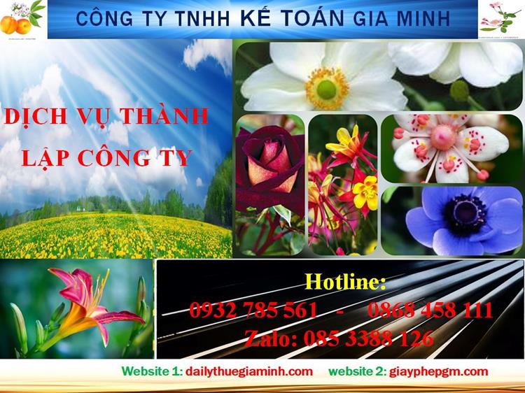 Dịch vụ thành lập công ty trách nhiệm hữu hạn tại Quận 7 4 Thủ tục thành lập công ty trách nhiệm hữu hạn tại Quận 7