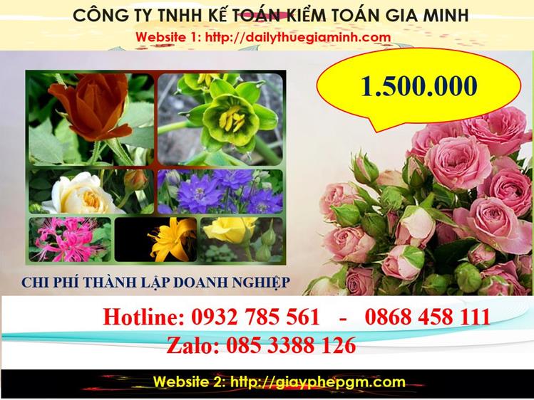 Dịch vụ thành lập công ty trách nhiệm hữu hạn tại Quận 8 5 Chi phí thành lập công ty trách nhiệm hữu hạn tại Quận 8