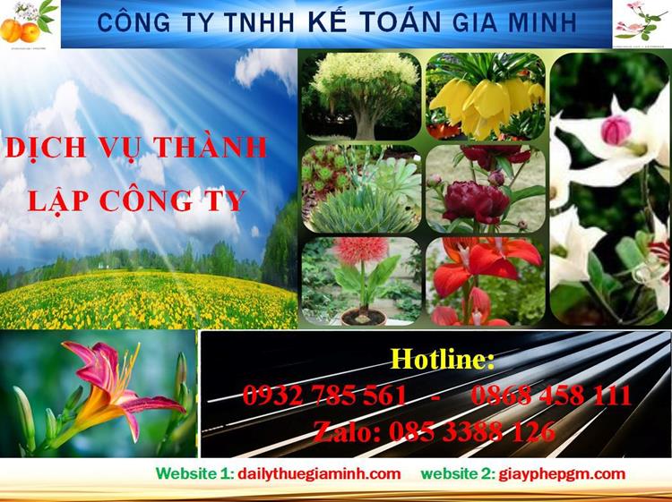 Dịch vụ thành lập công ty trách nhiệm hữu hạn tại Quận 8 4 Thủ tục thành lập công ty trách nhiệm hữu hạn tại Quận 8