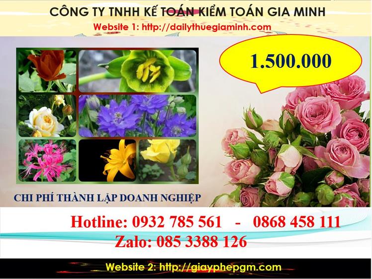 Chi phí thành lập công ty trách nhiệm hữu hạn tại Quãng Bình