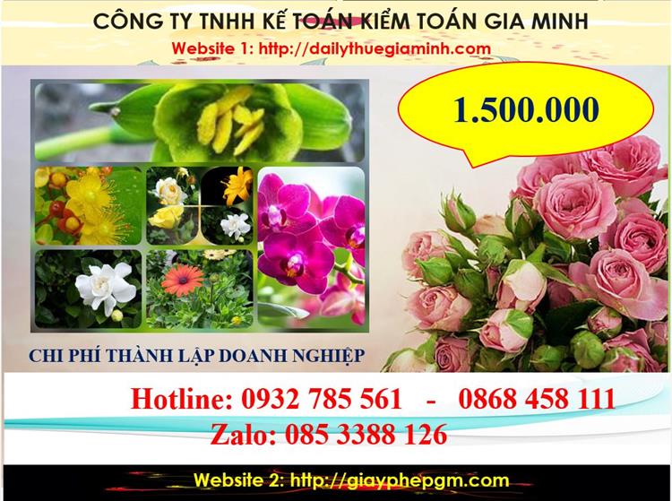 Dịch vụ thành lập công ty trách nhiệm hữu hạn tại Sơn La 5 Chi phí thành lập công ty trách nhiệm hữu hạn tại Sơn La