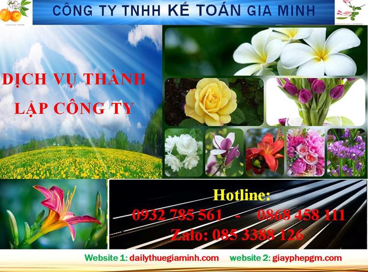 Dịch vụ thành lập công ty trách nhiệm hữu hạn tại Thanh Hóa 4 Thủ tục thành lập công ty trách nhiệm hữu hạn tại Thanh Hóa