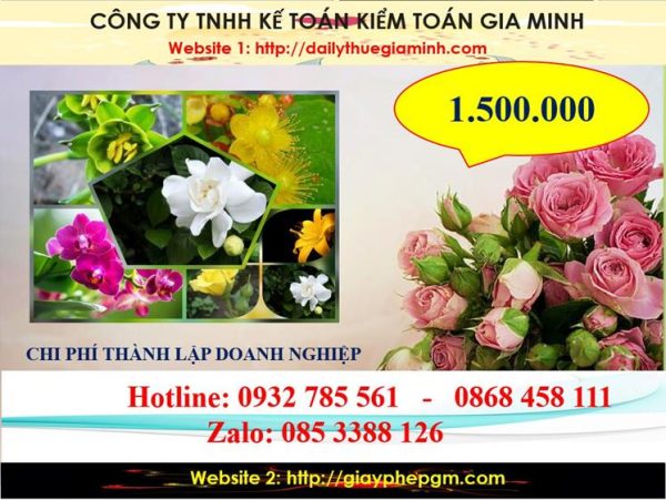 Chi phí thành lập công ty trách nhiệm hữu hạn tại thành phố Thủ Dầu Một