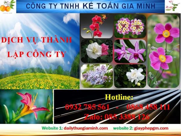 Thủ tục thành lập công ty trách nhiệm hữu hạn tại thành phố Thủ Dầu Một