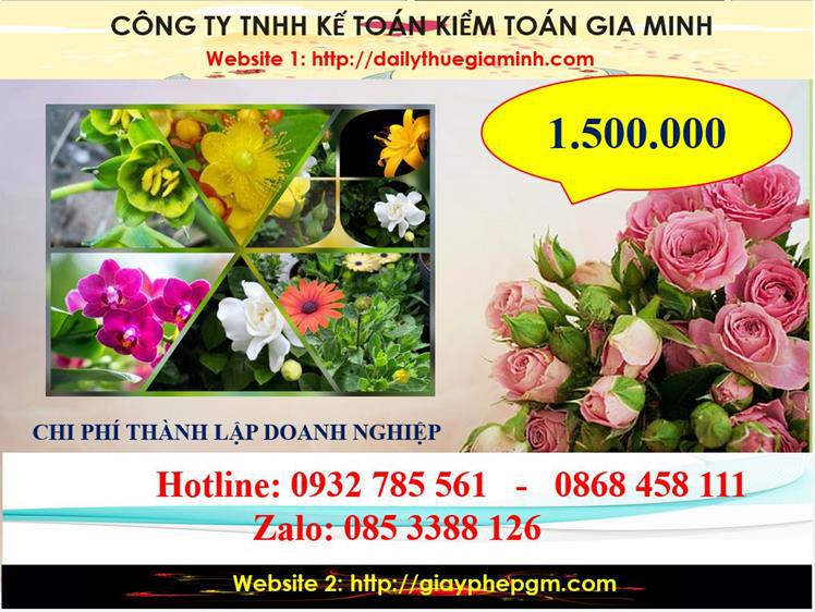 Chi phí thành lập công ty trách nhiệm hữu hạn tại thị xã Bến Cát
