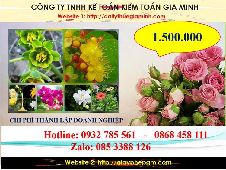 Chi phí thành lập công ty trách nhiệm hữu hạn tại thị xã Dĩ An