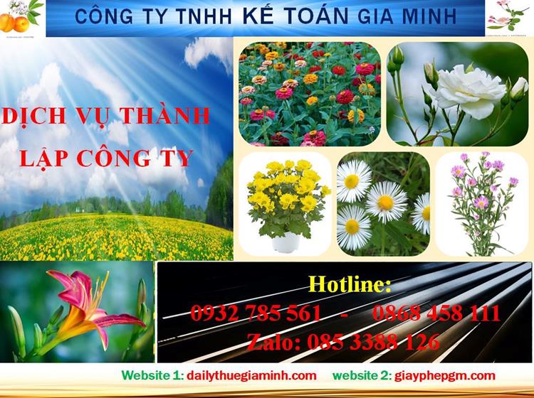 Thủ tục thành lập công ty trách nhiệm hữu hạn tại thị xã Dĩ An